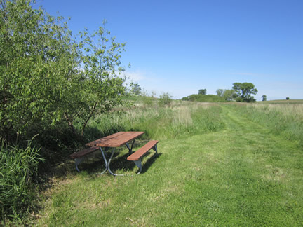 Picnic Table