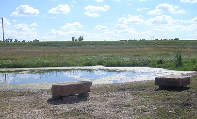 Pond