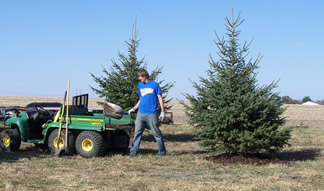 Planting Trees