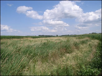 Prairie View