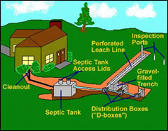 Septic System